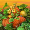 <i>“Pumpkin Serenade”</i>
